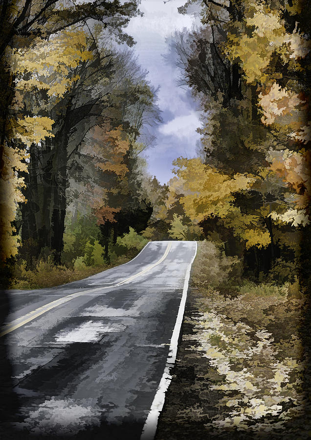 Fall Painted Country Road Photograph by Thomas Young