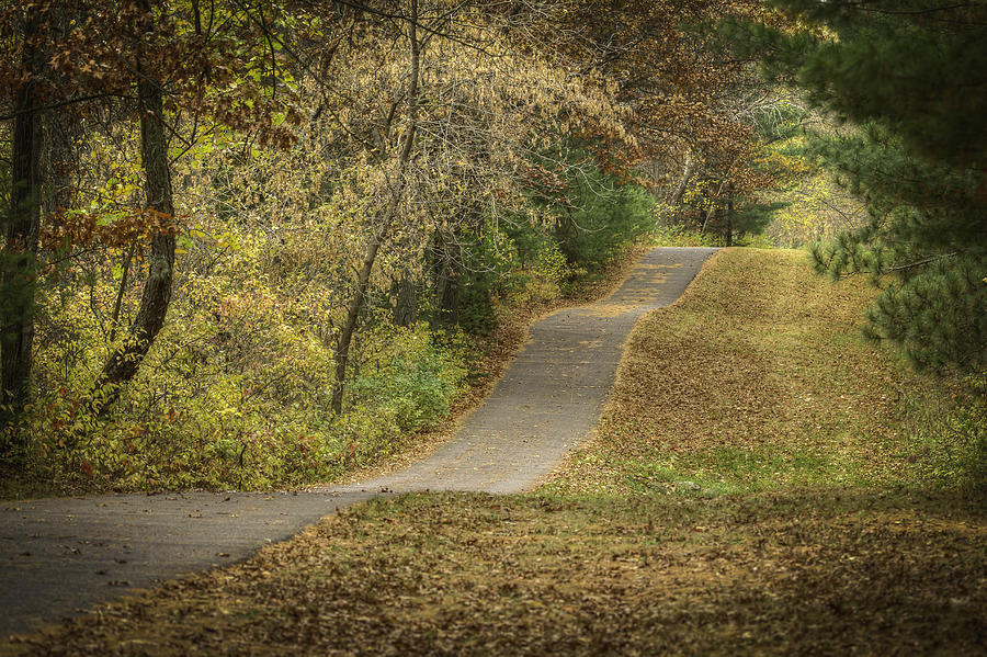 Fall Path Photograph by Thomas Young