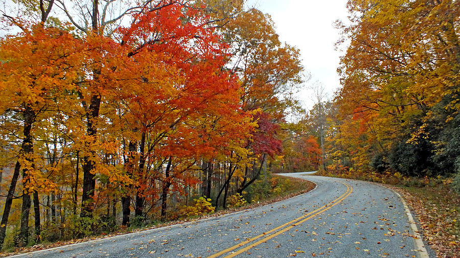 Fall Peak along Slick Fisher Road Photograph by Duane McCullough