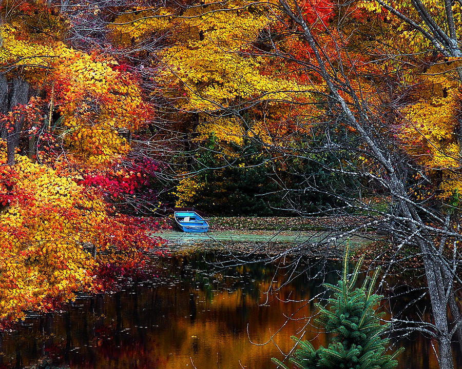 Fall Pond and Boat Photograph by Tom Mc Nemar