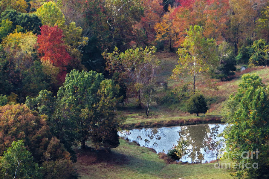 Fall Pond Photograph by Dawn Gari