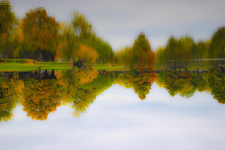 Fall Photograph - Fall Pond by Ken Rutledge
