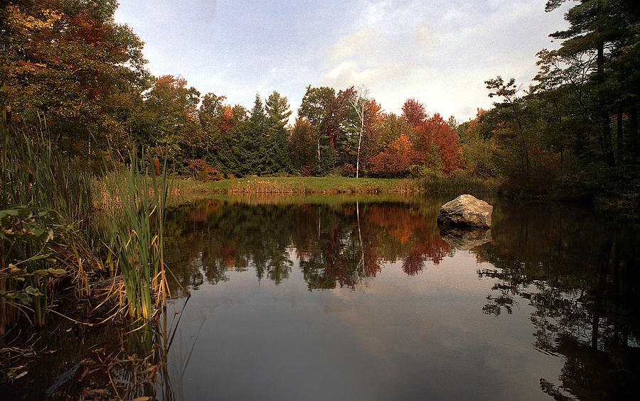 Fall Pond Photograph by Skip Willits