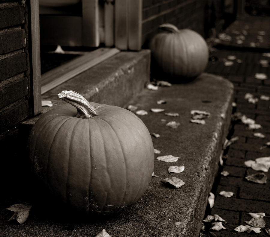 Fall Photograph - Fall Pumpkin Pair by John Ayo