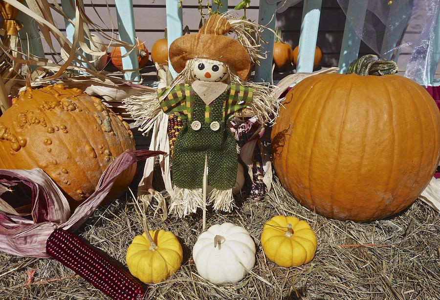 Still Life Photograph - Fall Pumpkin Scarecrow by Joan Reese