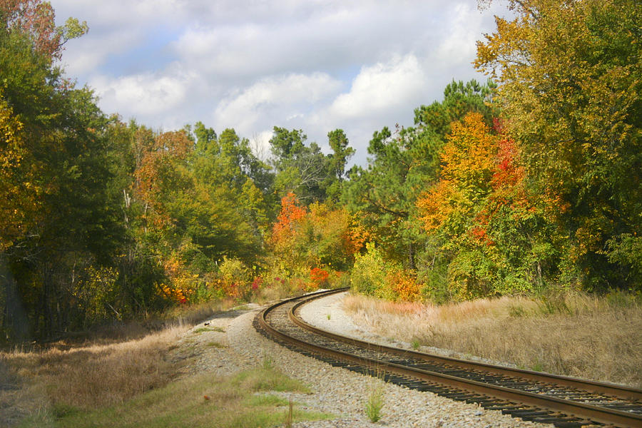 Fall Railway Photograph by Robert Camp