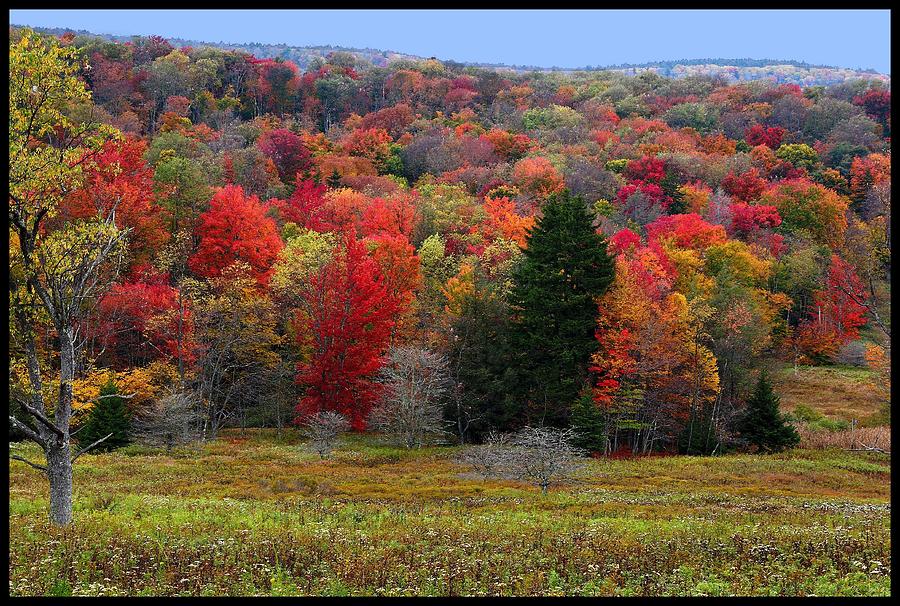 Fall Photograph - Fall Rainbow by Brian Wilson