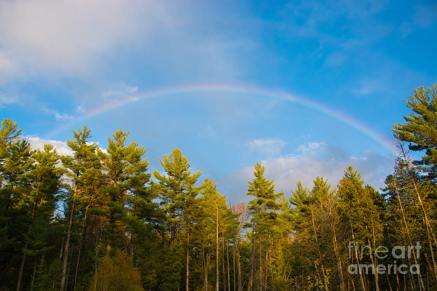 Fall Rainbow Photograph by Cheryl Baxter