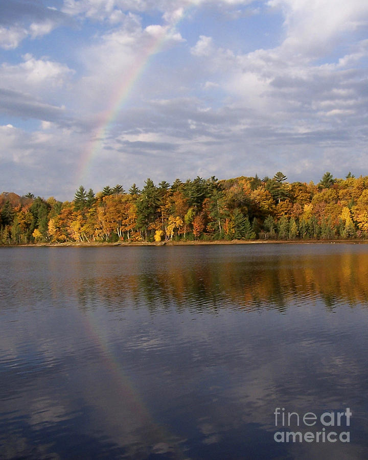 Fall Rainbow Photograph by Forest Floor Photography