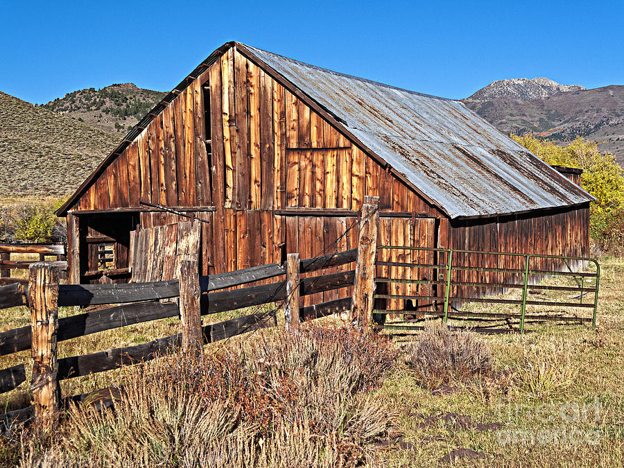 Fall Range Barn Photograph by L J Oakes