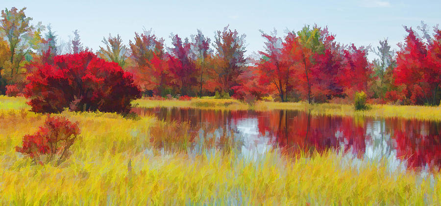 Fall Reds Reflection Photograph by Beth Sawickie