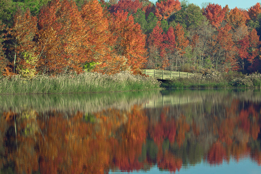 Fall Reflected Photograph by Jerry Gammon
