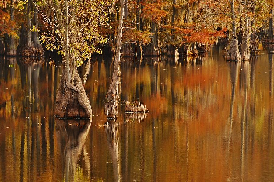 Fall Reflection 2 Photograph by Nick Smith - Fine Art America