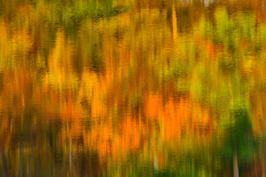Fall Reflection Abstract I Photograph by Mark Rogers
