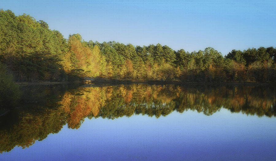 Fall Reflection in Blue Photograph by Ola Allen