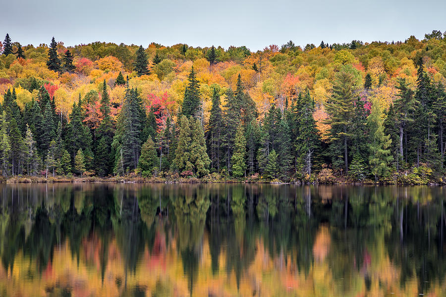 Fall Reflection in Quebec Photograph by Pierre Leclerc Photography