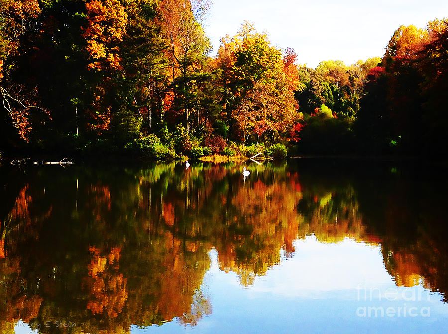 Fall Reflection In Summerfield Photograph
