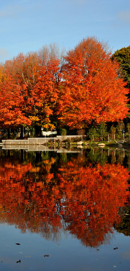 Fall Reflection iphone case Photograph by Diane Lent