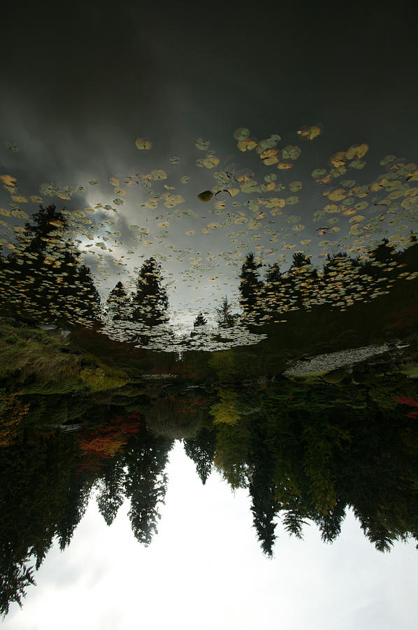 Seattle Photograph - Fall Reflection by Jeff Burgess