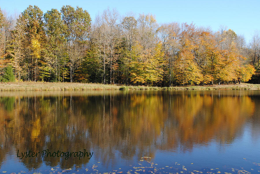 Fall Photograph - Fall Reflection by Laura Lyster
