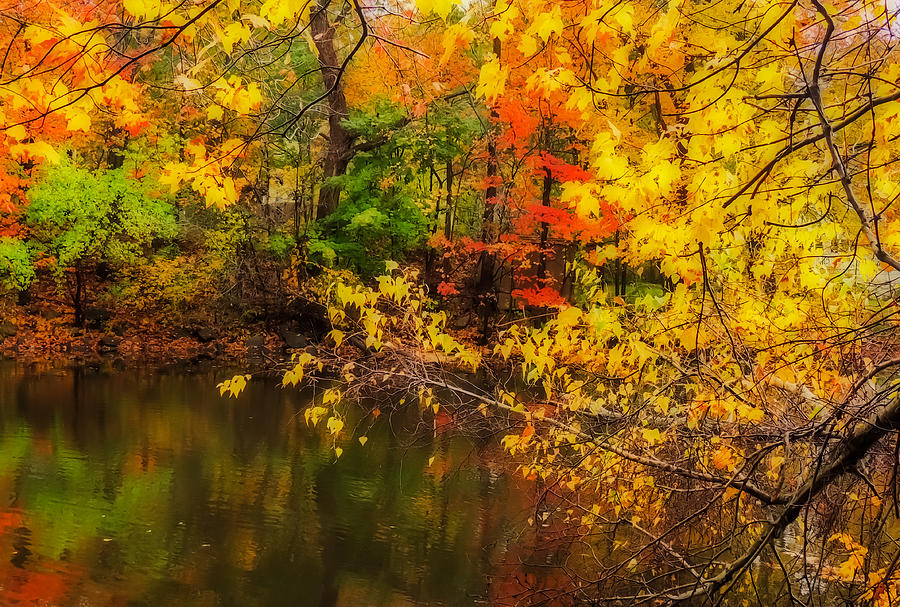 Fall Reflection Photograph by Robert Mitchell