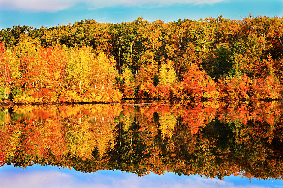 Fall Reflection Photograph by Roger Becker