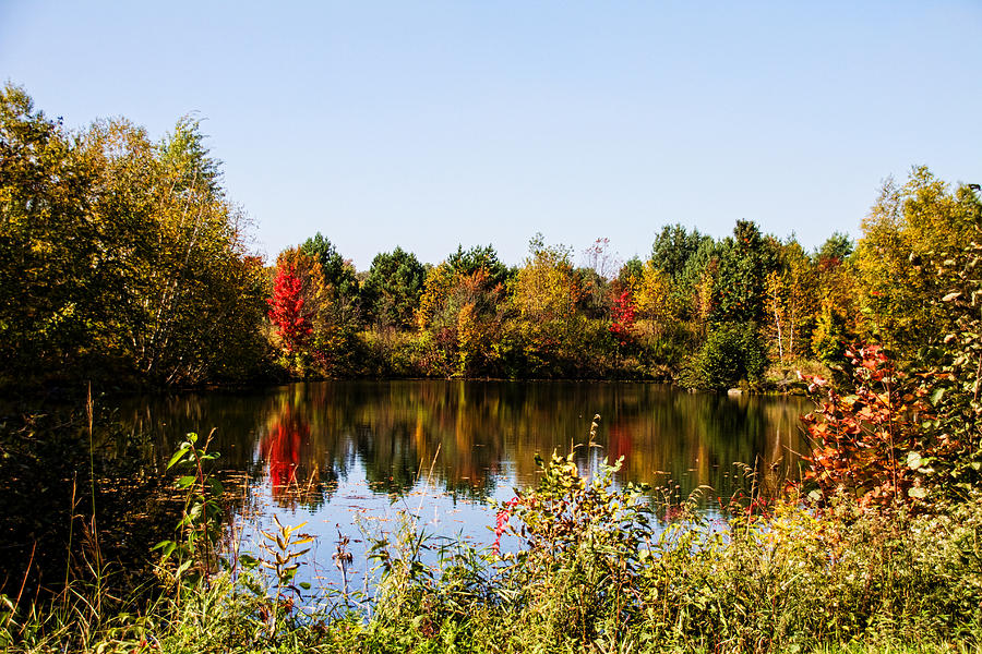 Fall Reflection Photograph by Wayne Stabnaw - Fine Art America