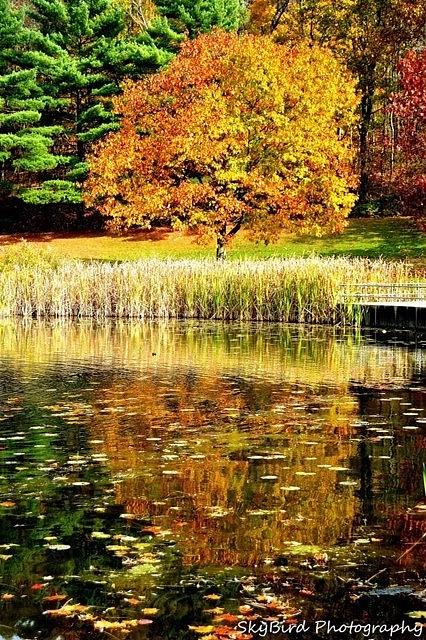 Fall Reflections 2 Photograph by Megan Miller - Fine Art America