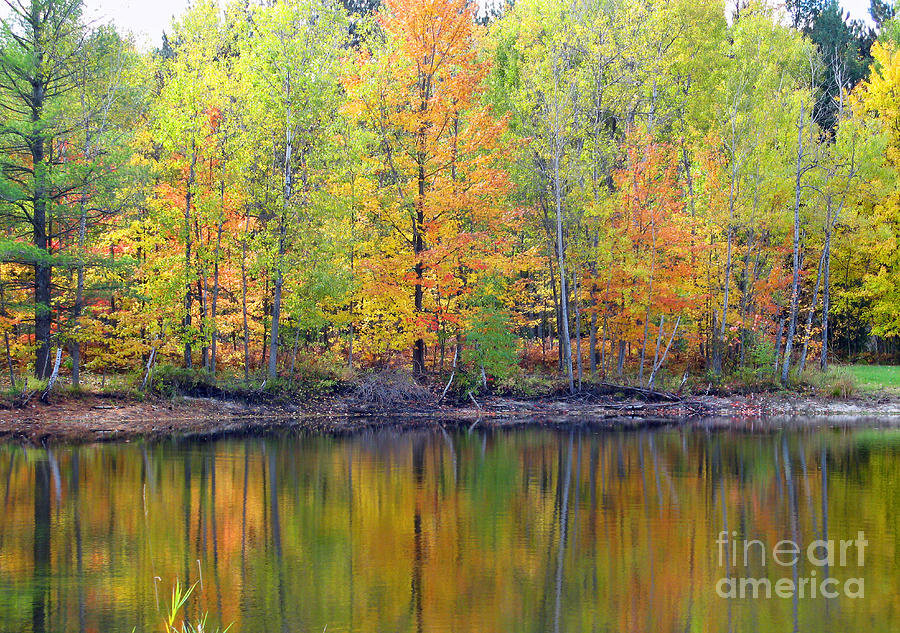 Fall Reflections 5538 Photograph by Jack Schultz