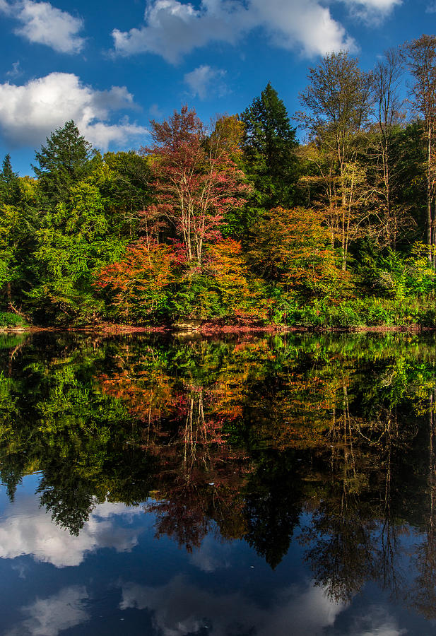 Fall Photograph - Fall Reflections by Anthony Thomas