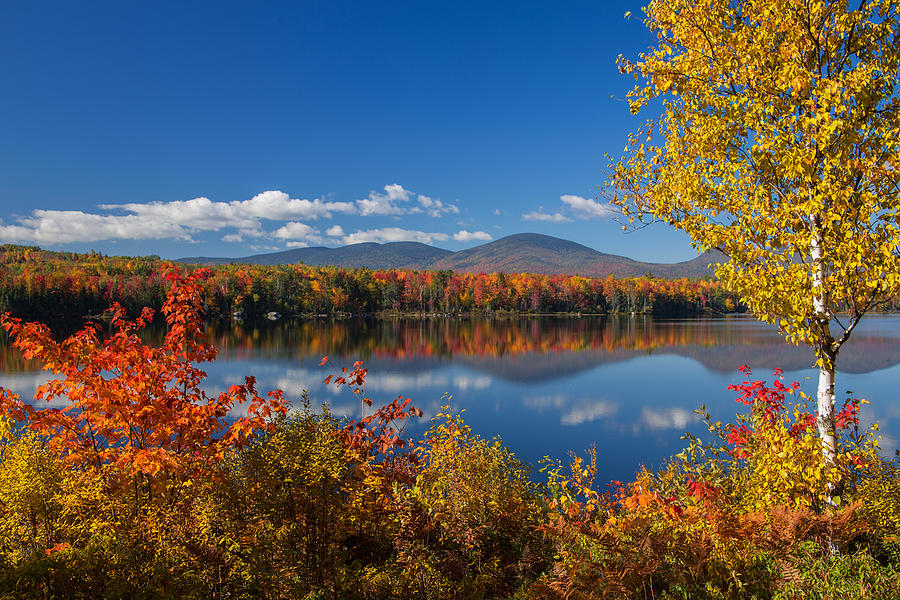 Fall Reflections at Jericho Lake Photograph by White Mountain Images