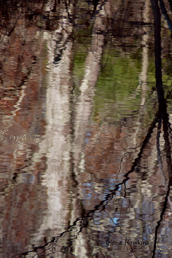 Tree Photograph - Fall reflections by Diane Hawkins