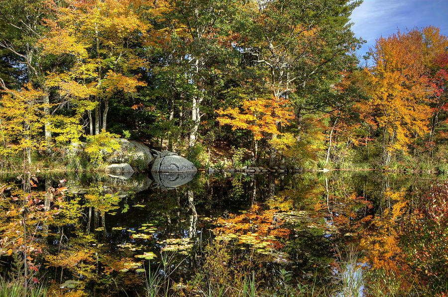 Fall Reflections Photograph by Donna Doherty
