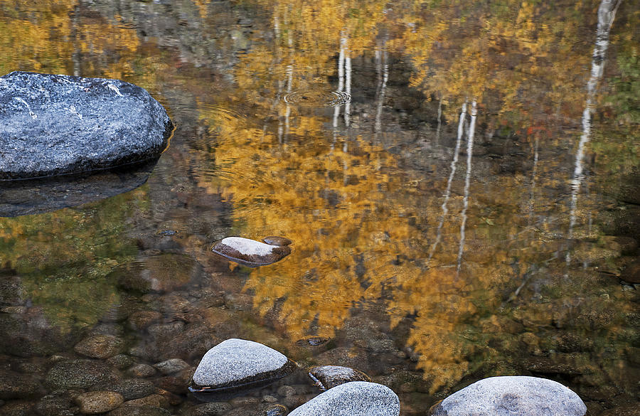 Fall Reflections Photograph by Doug Davidson