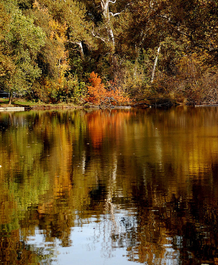 Fall Reflections Photograph by Holly Blunkall