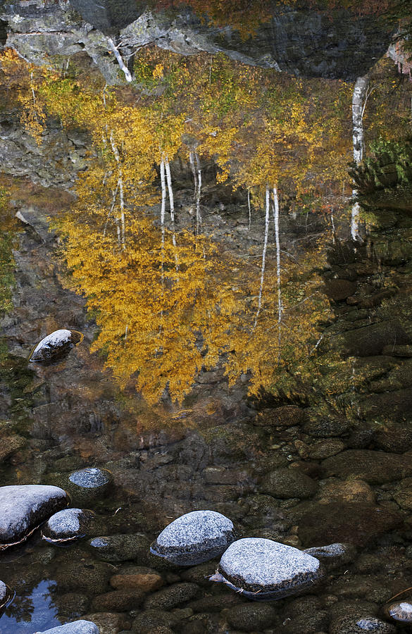 Fall Reflections II Photograph by Doug Davidson