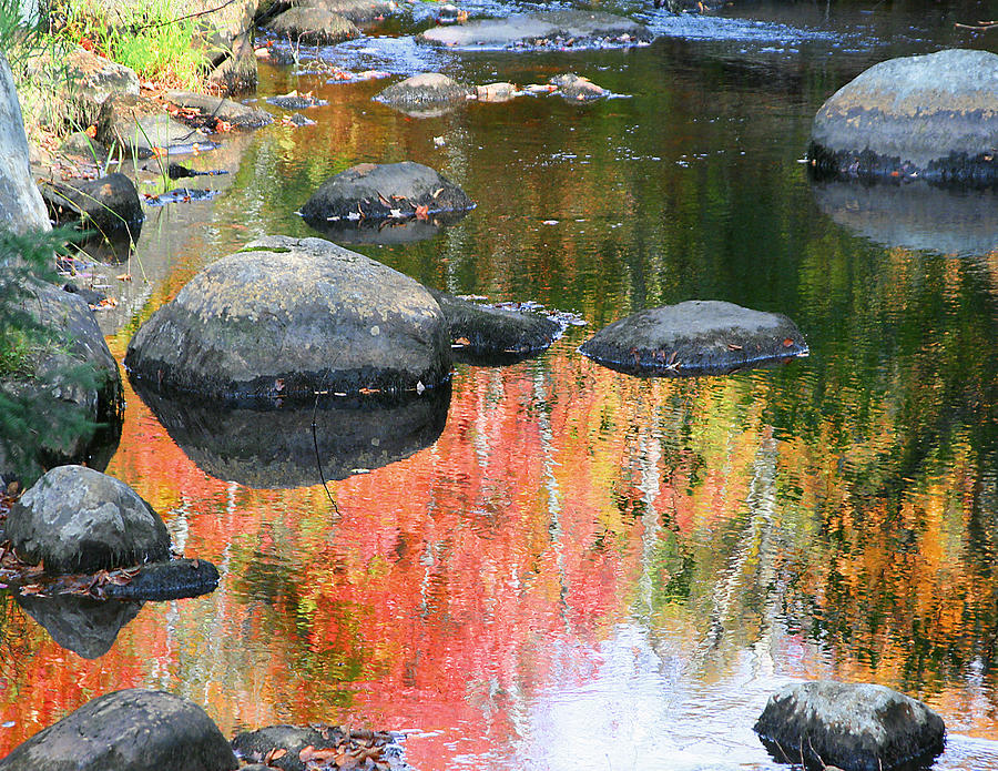 Fall Reflections in a Quiet Stream Photograph by Mariarosa Rockefeller