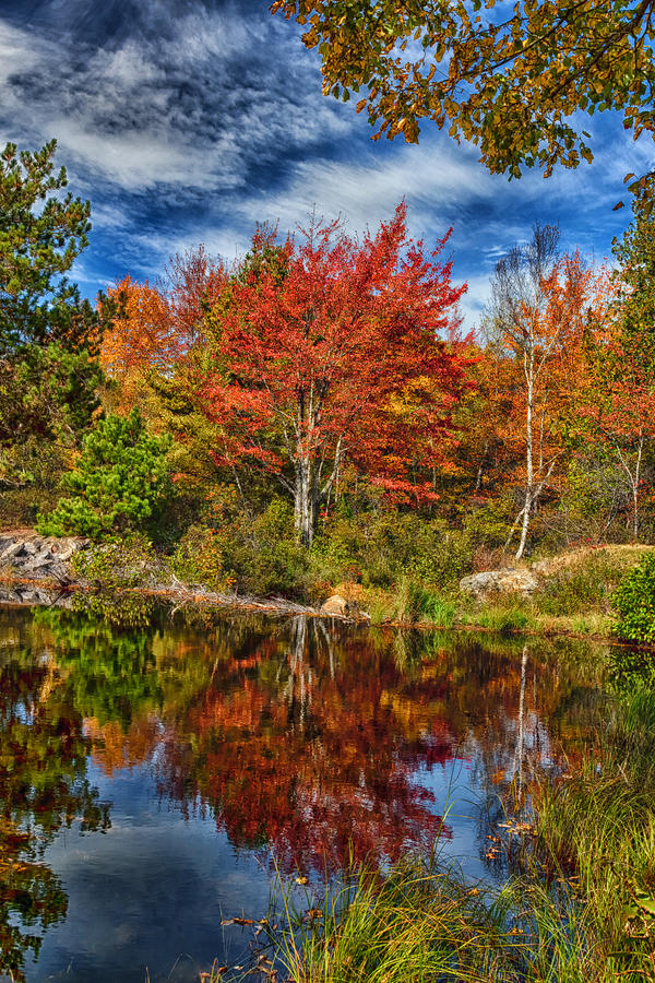 Fall Reflections in Maine IMG 6312 Photograph by Greg Kluempers