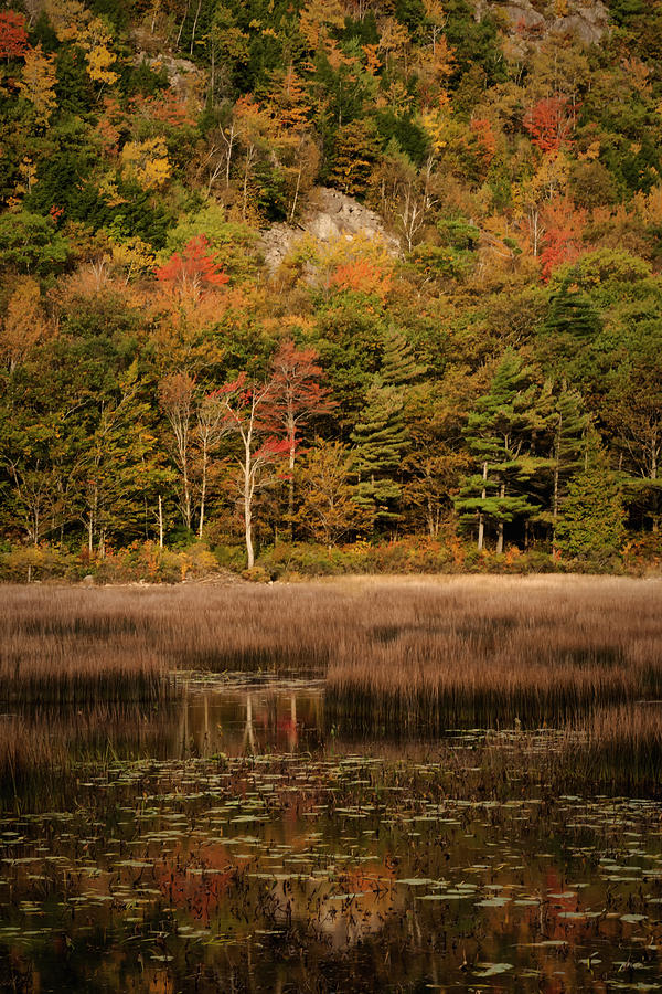 Fall Reflections in the Tarn Acadia NP Maine IMG 6270 Photograph by Greg Kluempers