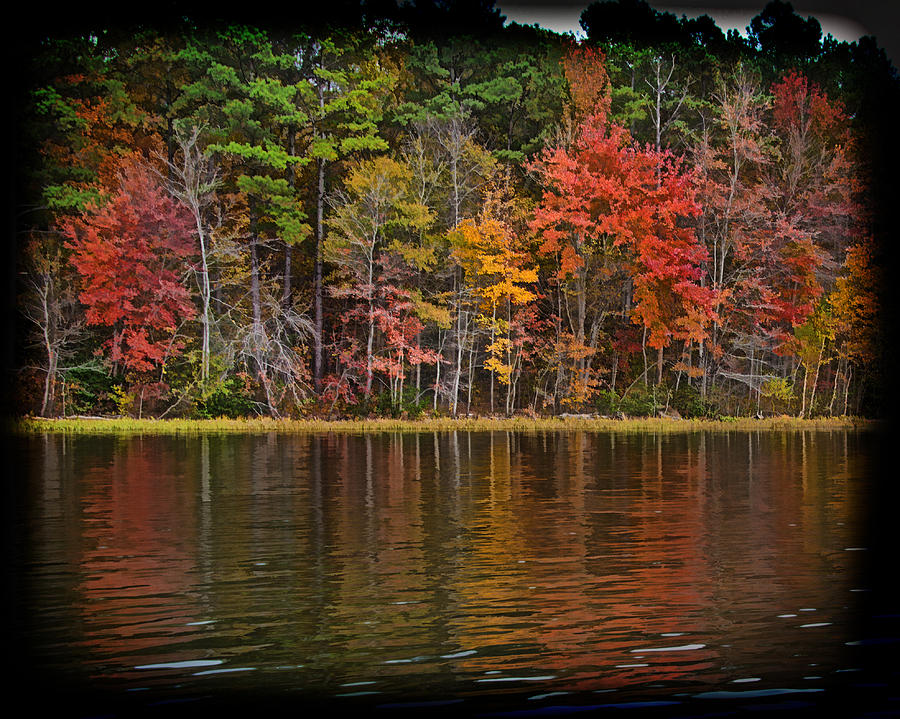 Fall Reflections Photograph by Jemmy Archer