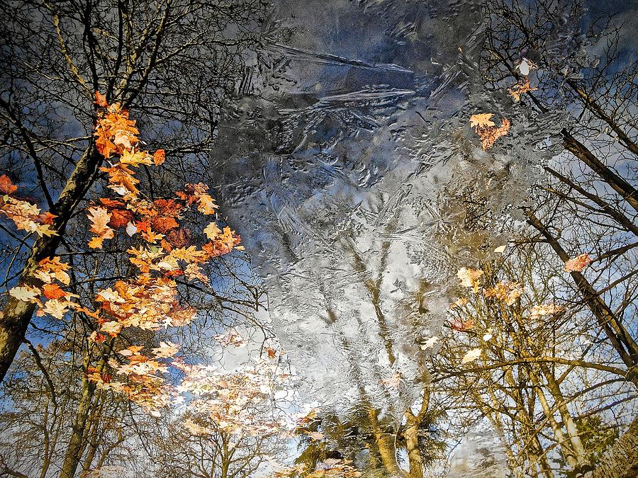 Fall Reflections Photograph by Joan Reese
