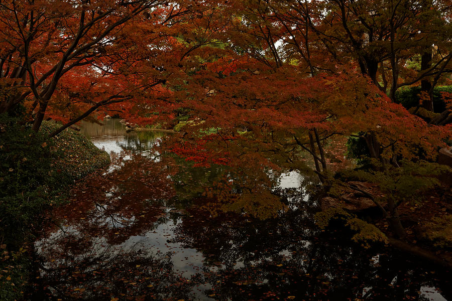 Fall reflections Photograph by Jonathan Davison