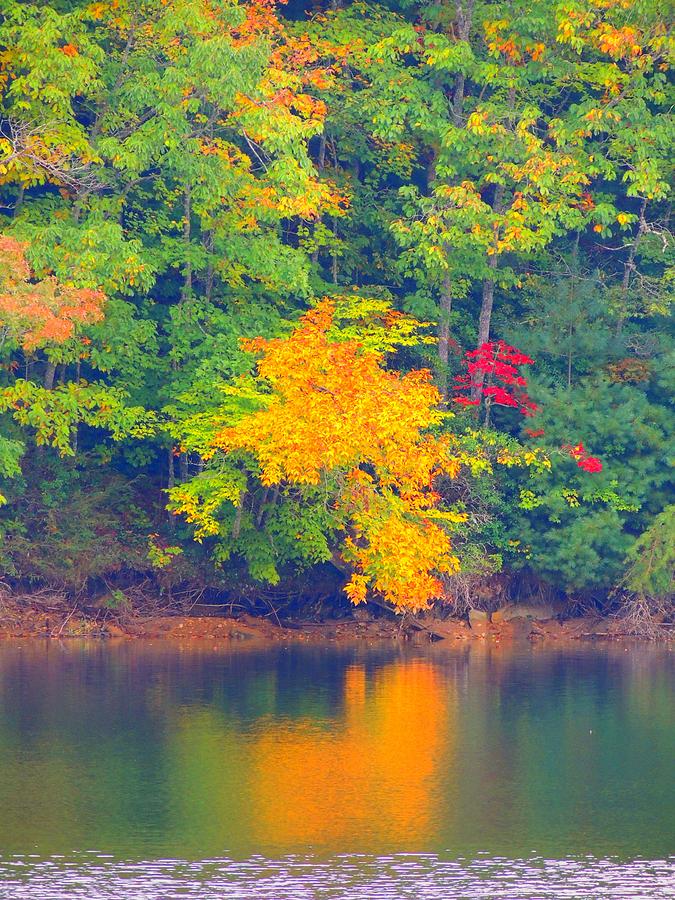 Fall Photograph - Fall Reflections by Judy  Waller