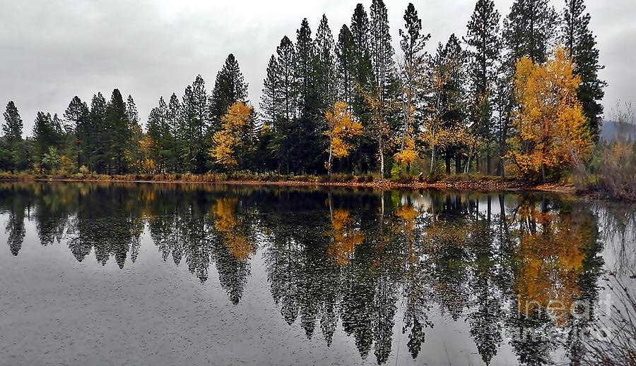 Fall Reflections Photograph by Julia Hassett