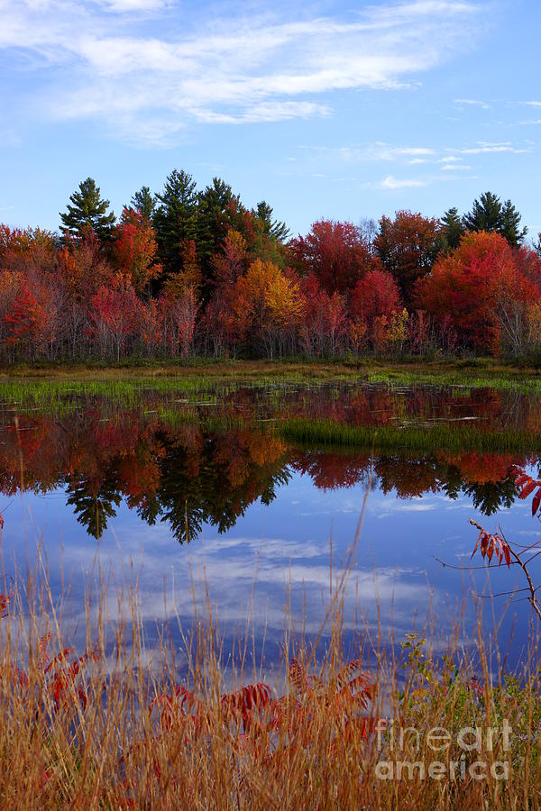 Fall Reflections Photograph by Kerri Mortenson
