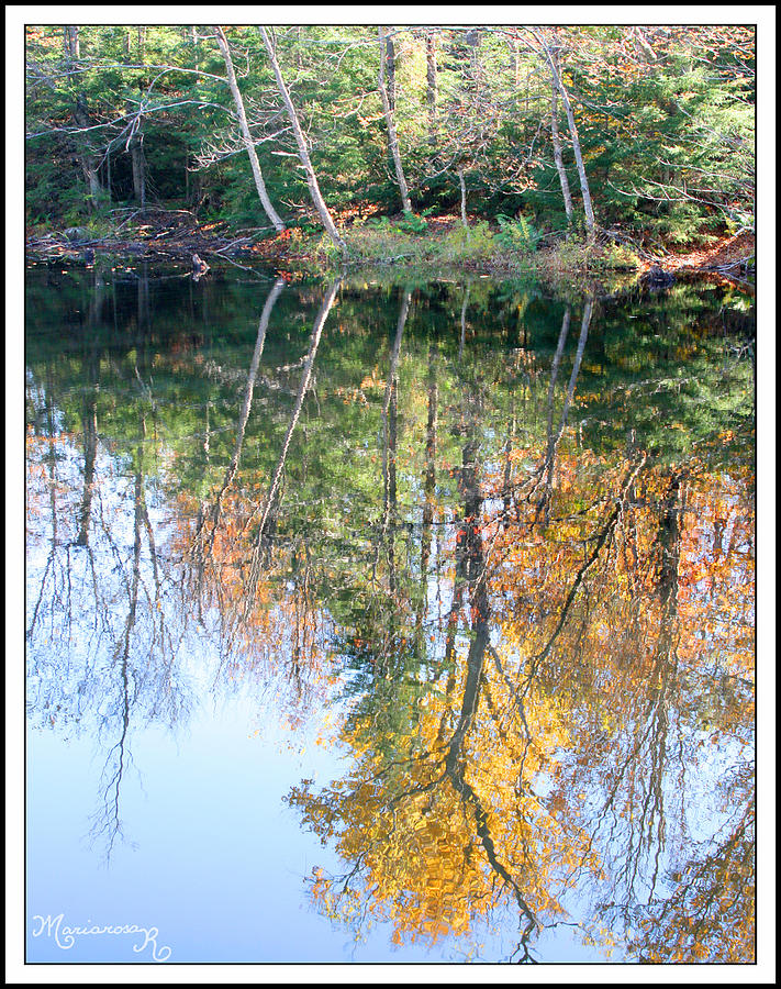 Fall Reflections Photograph by Mariarosa Rockefeller
