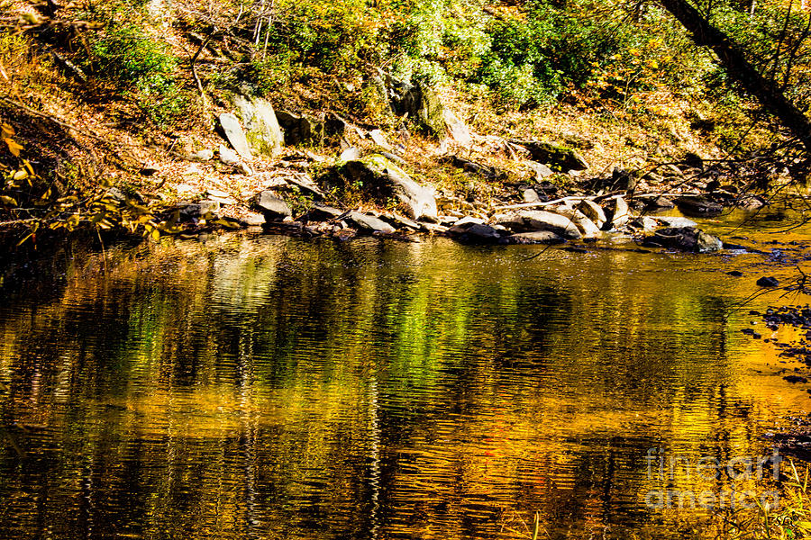 Fall Reflections on the Eno River Photograph by Sandra Clark
