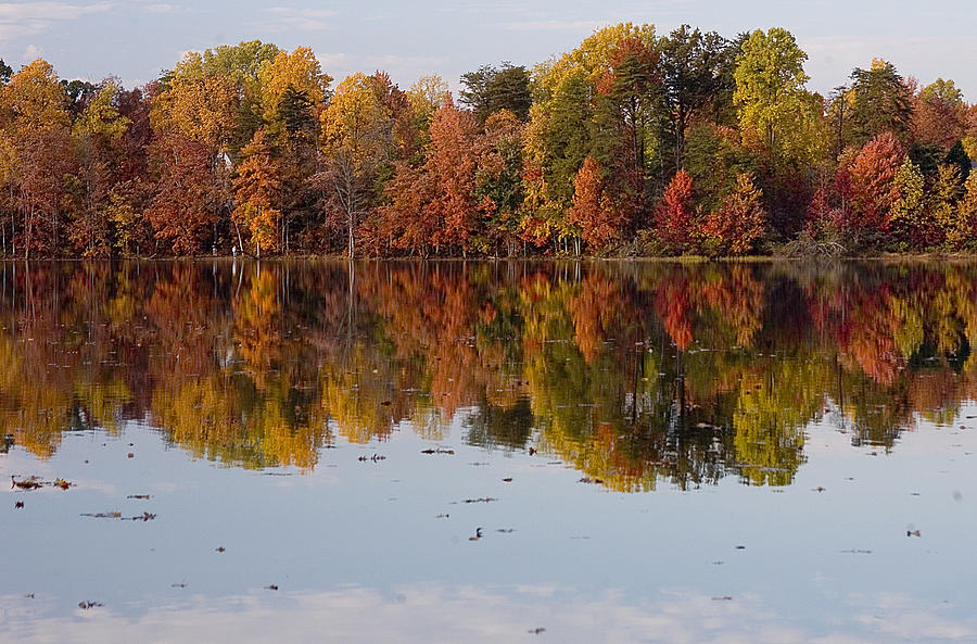 Fall Reflections Photograph by Pat Exum