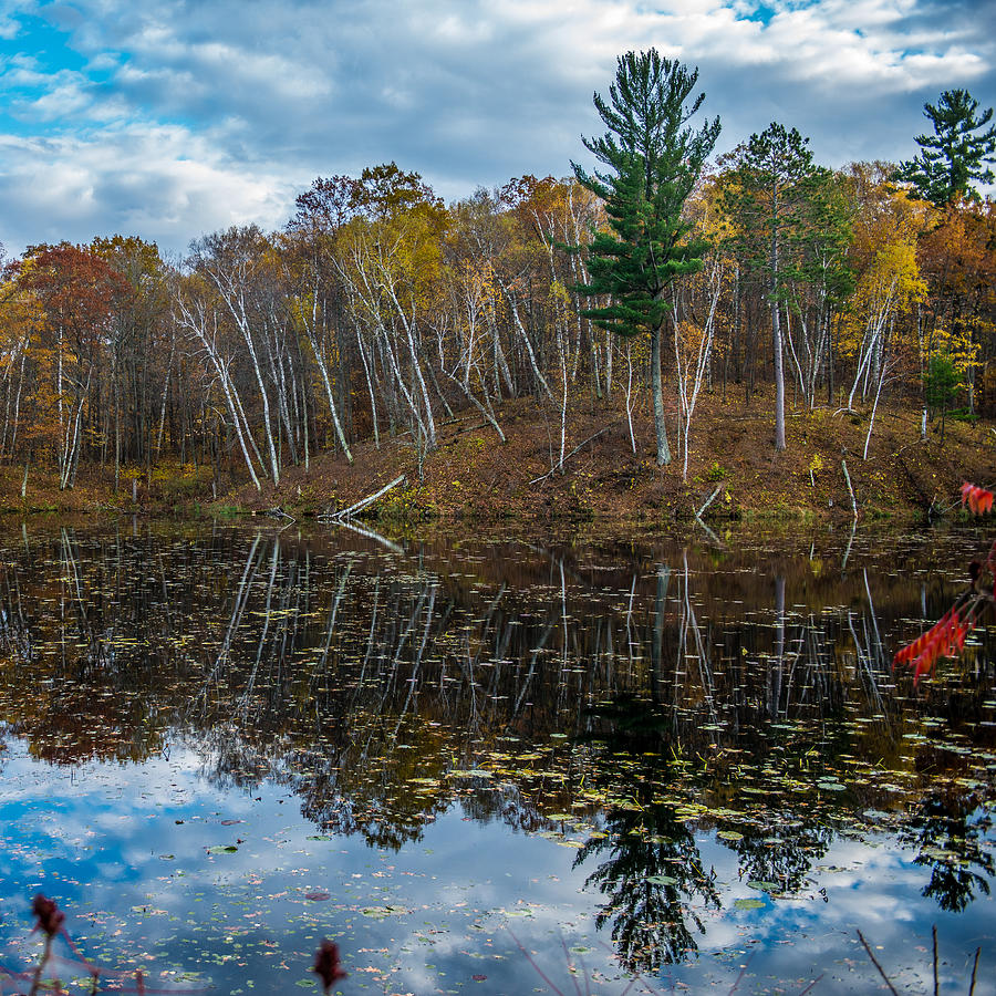 Fall Reflections Photograph by Paul Freidlund