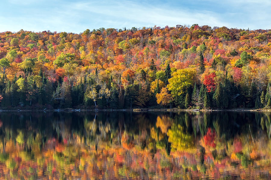 Fall Reflections Photograph by Pierre Leclerc Photography